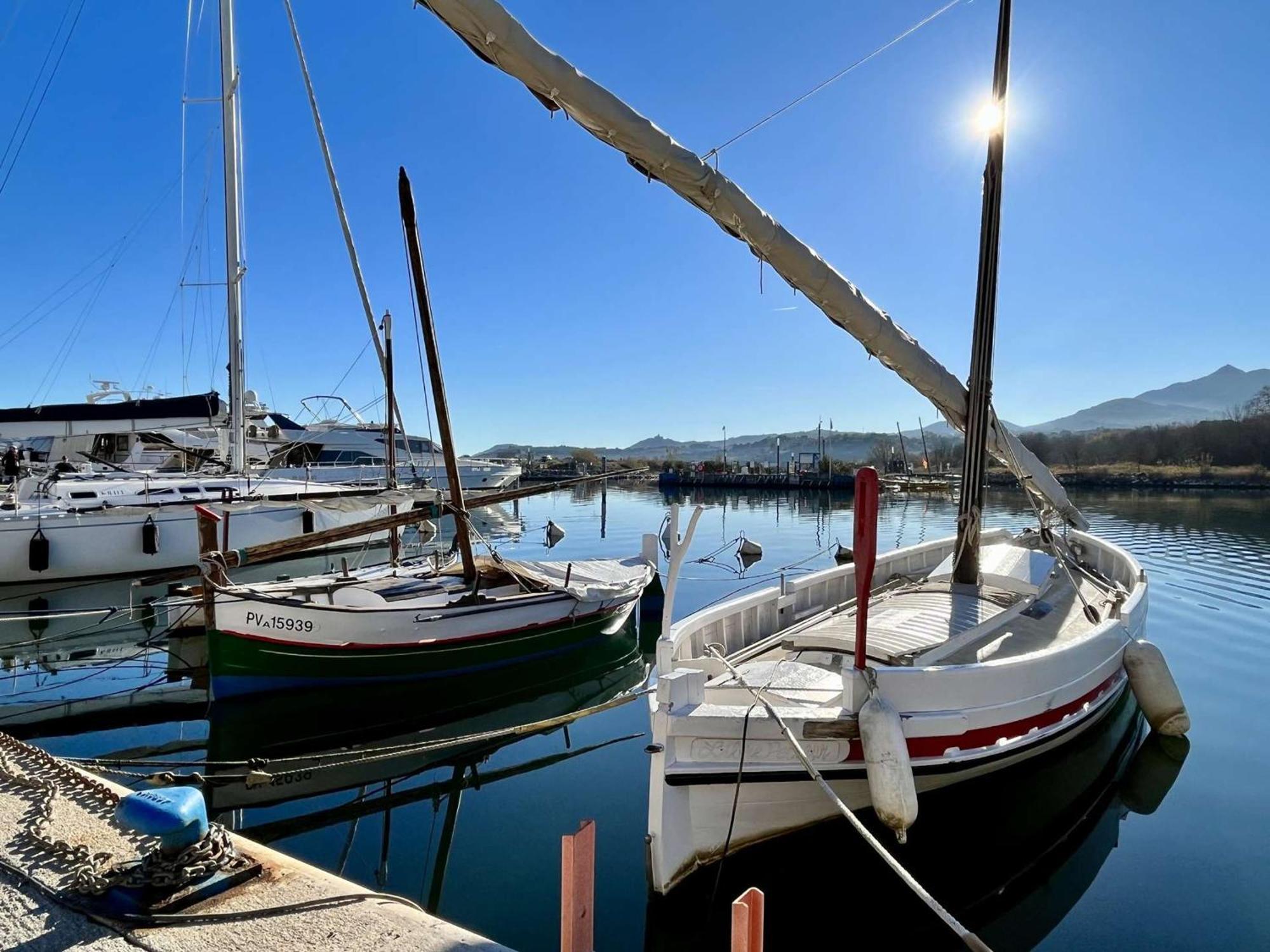 Location Appart 2 Pieces Au Port D'Argeles-Sur-Mer - Fr-1-225-56 외부 사진